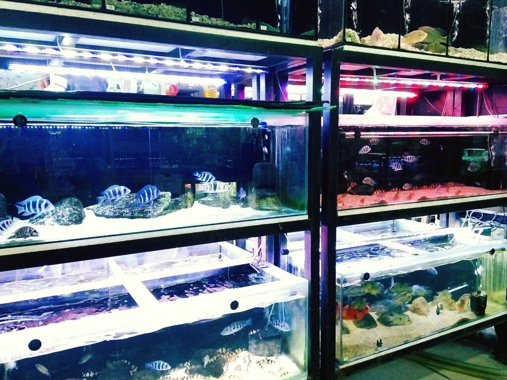 店舗内イメージ